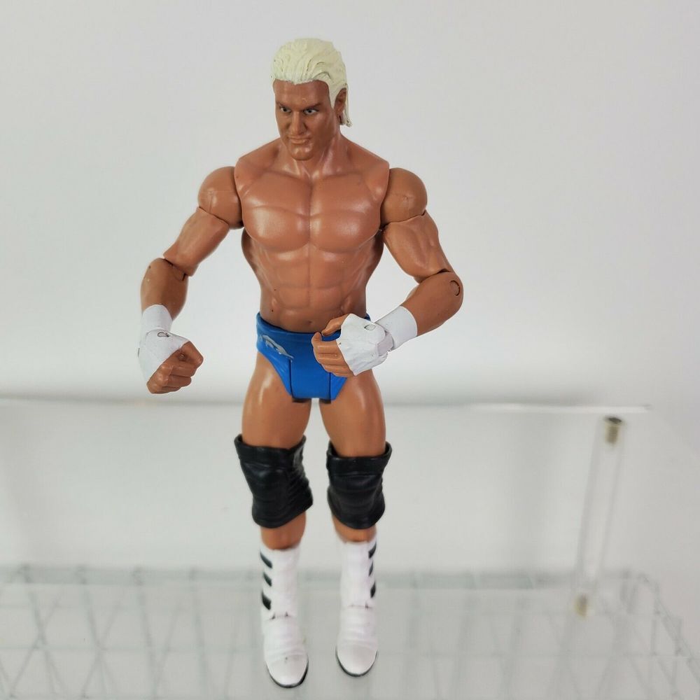 WWE Dolph Ziggler Mattel Action‎ Figure 2011 7" Wrestling